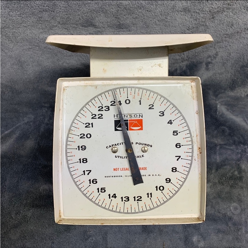 Hanson utility scale 24 lbs.